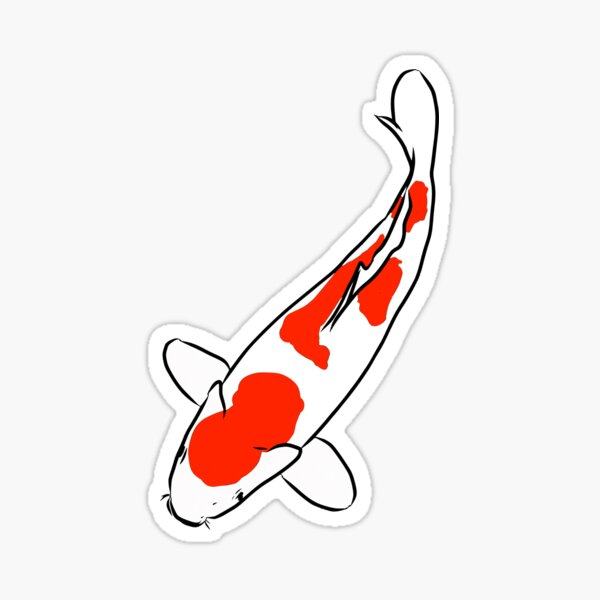 Koi Fish Kujaku Sticker
