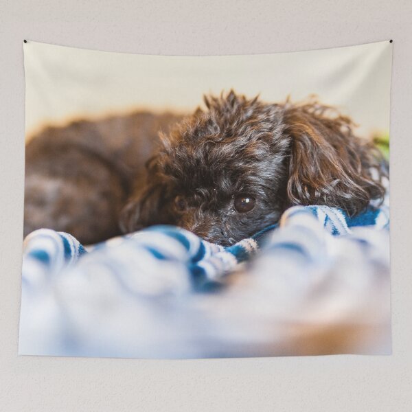 Item preview, Dog in a bed designed and sold by KensLensDesigns.