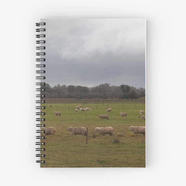Item preview, Baa Ram Ewe designed and sold by Natalie Ord.