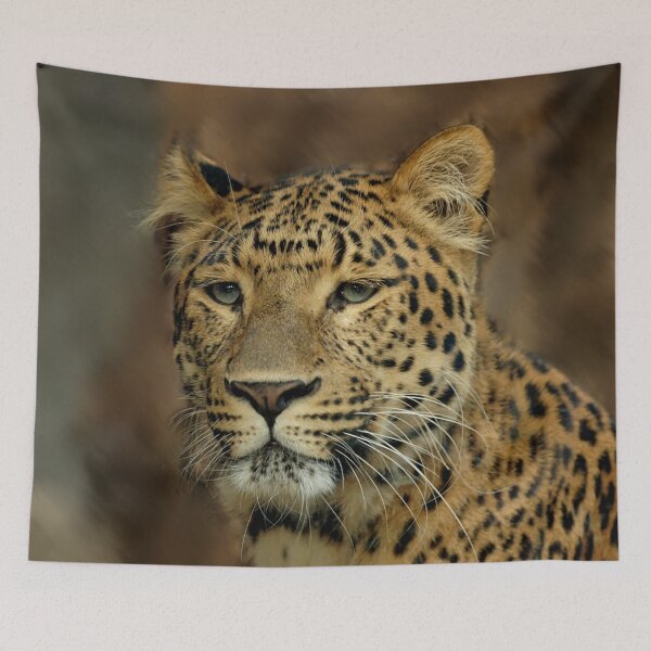 Item preview, Leopard Lovers Art Gifts designed and sold by springdaleshops.