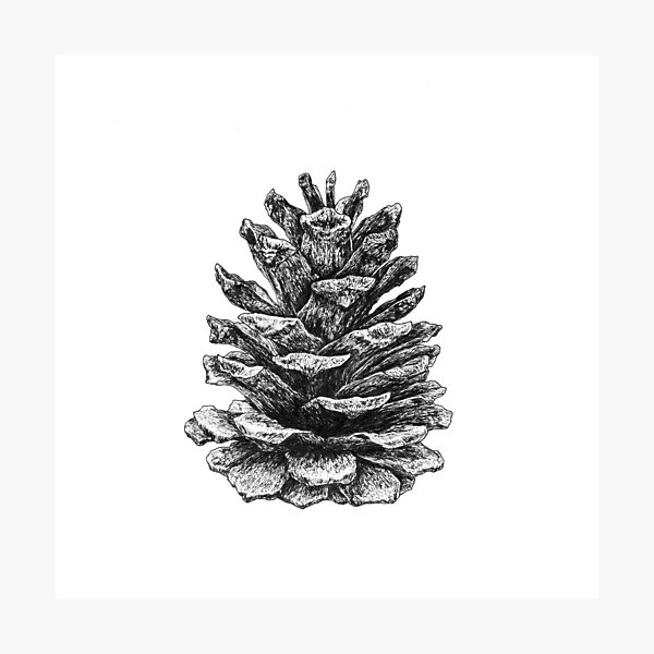 Item preview, Pine cone designed and sold by Aleksandra Kabakova.