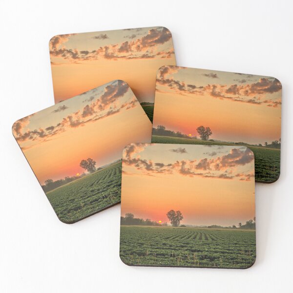 Item preview, Orange Over Soybeans designed and sold by LynyrdSky.