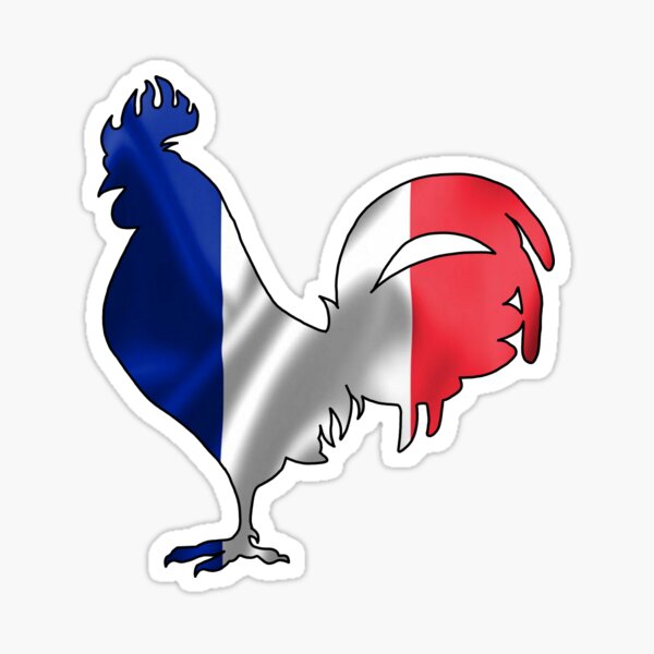 : France Flag Rooster Number 10 Soccer Fan Men Women Kids Boys T- Shirt : Clothing, Shoes & Jewelry