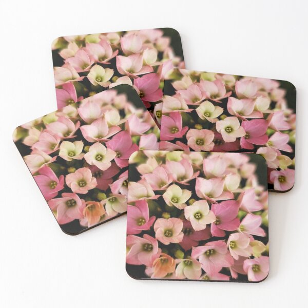 Item preview, Sweet Alyssum designed and sold by DonnaM.