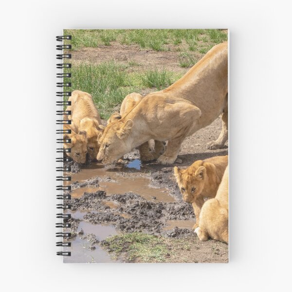 Item preview, Lions Drinking, Ngorongoro Concession Tanzania designed and sold by Andrew Goodall.