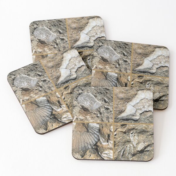Item preview, Gozo Island Fossils designed and sold by Trish Meyer.