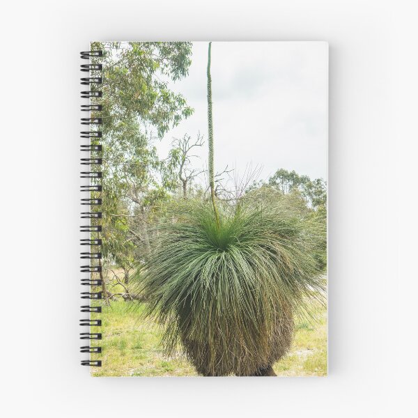 Item preview, Grass Tree   (Xanthorrhoea) designed and sold by DPalmer.