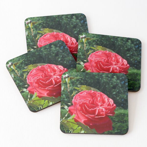 Item preview, Welcoming Rose designed and sold by BlueMoonRose.