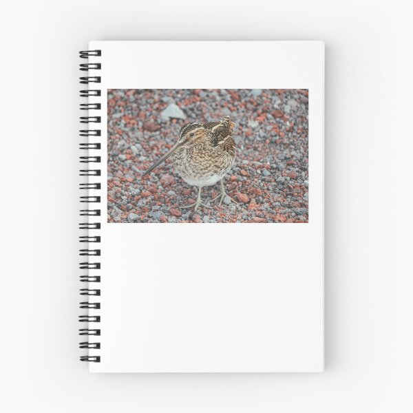 Item preview, A Common Snipe designed and sold by Caitlin Meyer.
