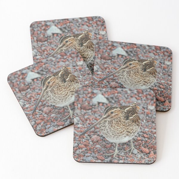 Item preview, A Common Snipe designed and sold by Caitlin Meyer.