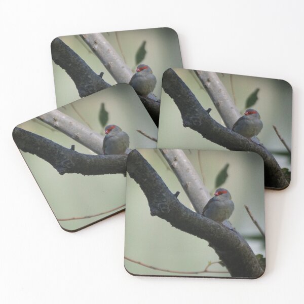 Item preview, Red & Brown Finch designed and sold by D-GaP.