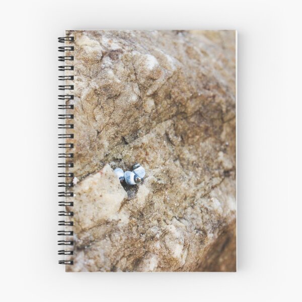 Item preview, Discovery designed and sold by CarlaHarvie.