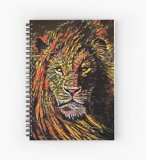 Kaleidoscope King Spiral Notebook