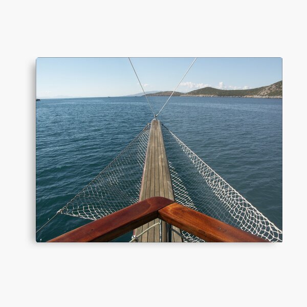 Day cruise Metal Print
