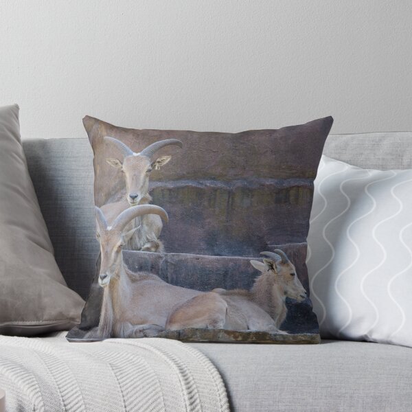Item preview, Barbary sheep designed and sold by CarlaHarvie.