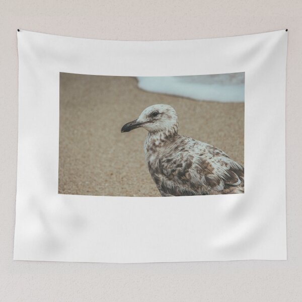 Item preview, A Seagull Along the Shore designed and sold by Caitlin Meyer.