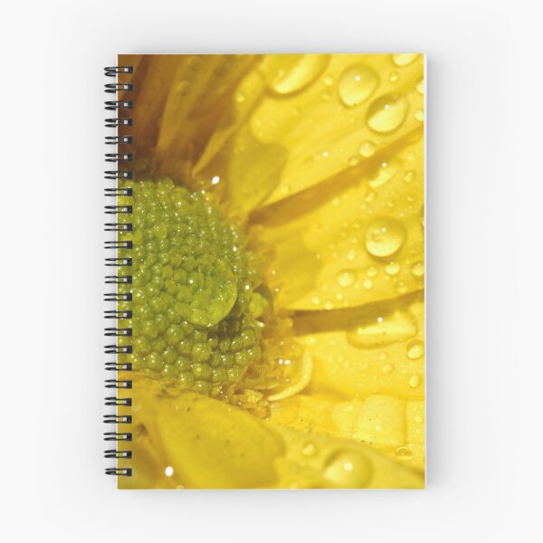 Item preview, Central Focus designed and sold by Peta Smith.