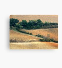 Tuscan Zigzag-Pienza Canvas Print