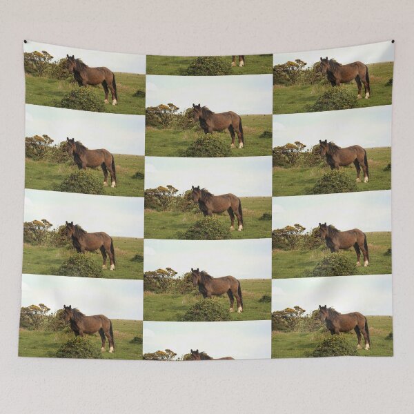 Item preview, The Ridiculously Photogenic Dartmoor Pony designed and sold by Martha Sherman.