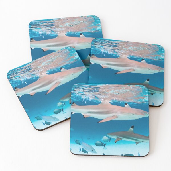 Item preview, Black tip reef shark designed and sold by Kana Photography.