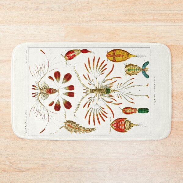Item preview, Plate 56. Copepods, small crustaceans from nearly every water habitat. designed and sold by Squirrox.
