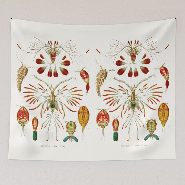 Item preview, Plate 56. Copepods, small crustaceans from nearly every water habitat. designed and sold by Squirrox.