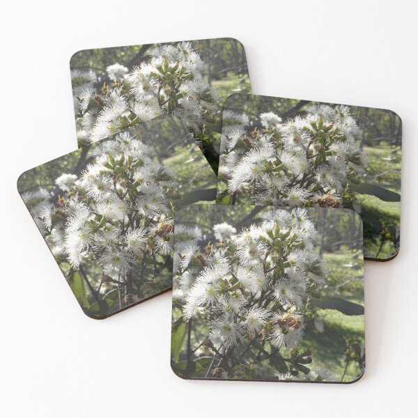 Item preview, White gum blossom designed and sold by BronwynParry186.
