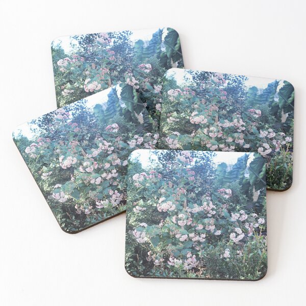 Item preview, Rhaphiolepis ‘Apple Blossom’ designed and sold by Margaret Stevens.