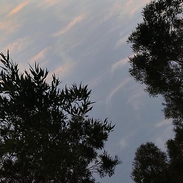 Artwork thumbnail, Haze by Keeley Clinton