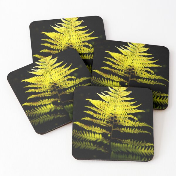 Item preview, Backlit Fern designed and sold by Kana Photography.