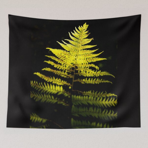 Item preview, Backlit Fern designed and sold by Kana Photography.