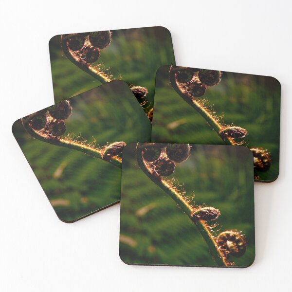 Item preview, Backlit Fern Frond designed and sold by Kana Photography.