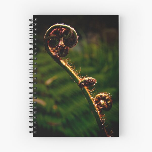 Item preview, Backlit Fern Frond designed and sold by Kana Photography.