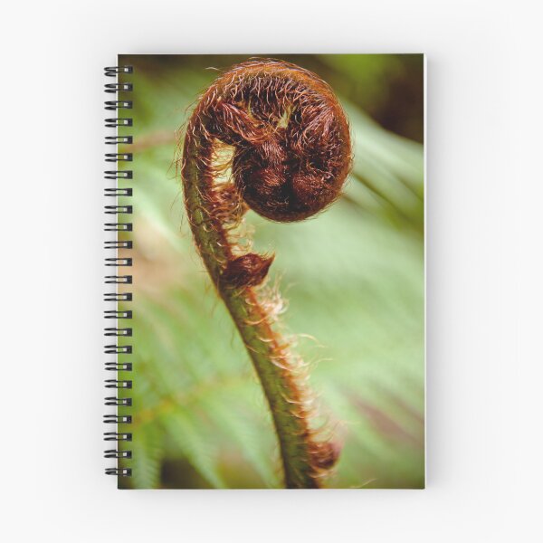 Item preview, Fern Frond designed and sold by Kana Photography.