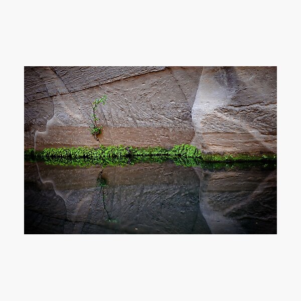 Item preview, Reflections II designed and sold by Kana Photography.