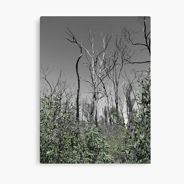 Item preview, Warrumbungles designed and sold by Matilda Askey.