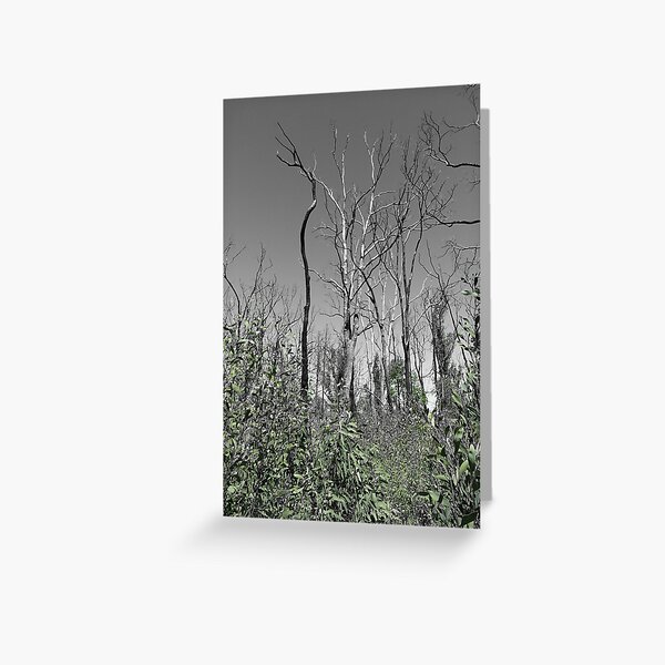 Item preview, Warrumbungles designed and sold by Matilda Askey.