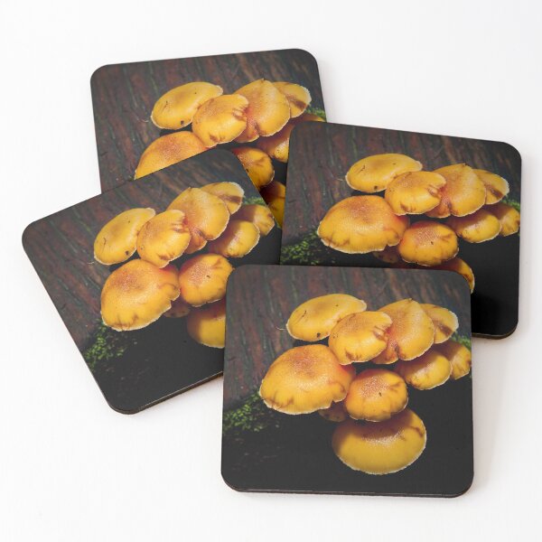 Item preview, Mushrooms designed and sold by Kana Photography.