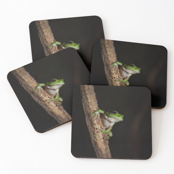 Item preview, Green Tree Frog designed and sold by Kana Photography.