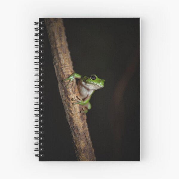 Item preview, Green Tree Frog designed and sold by Kana Photography.