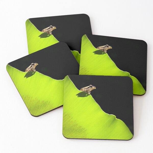 Item preview, Frog on a Leaf designed and sold by Kana Photography.