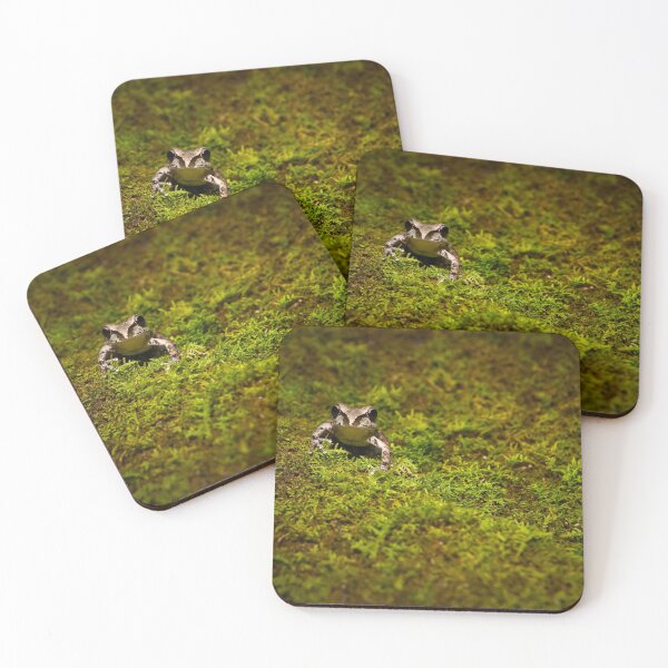 Item preview, Frog on Moss designed and sold by Kana Photography.