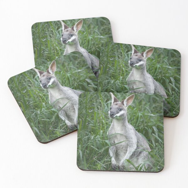 Item preview, Whiptail Wallaby I designed and sold by Kana Photography.