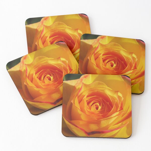 Item preview, Cameleon Miniature Rose Unfurling!  designed and sold by RitaBlom.