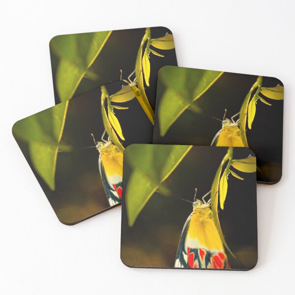 Item preview, Butterfly I designed and sold by Kana Photography.