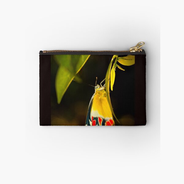 Item preview, Butterfly I designed and sold by Kana Photography.