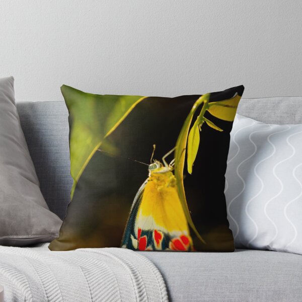 Item preview, Butterfly I designed and sold by Kana Photography.