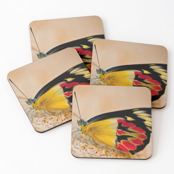 Item preview, Butterfly II designed and sold by Kana Photography.