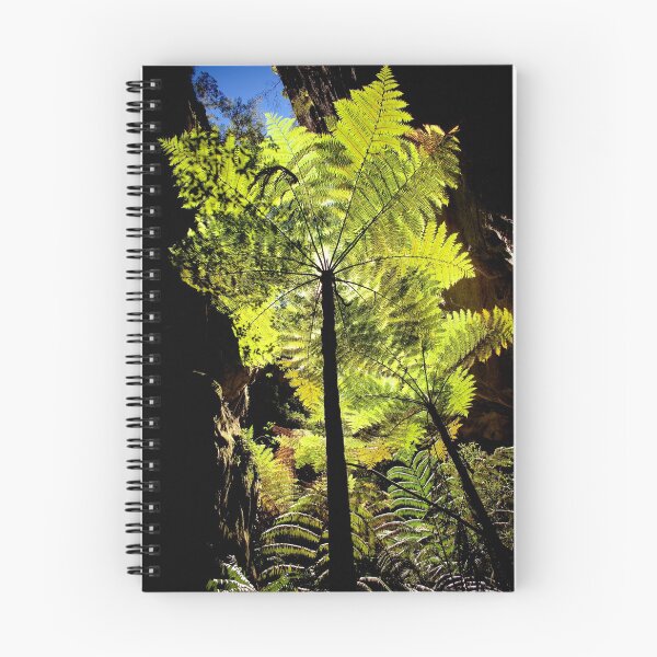 Item preview, Tree Fern designed and sold by Kana Photography.