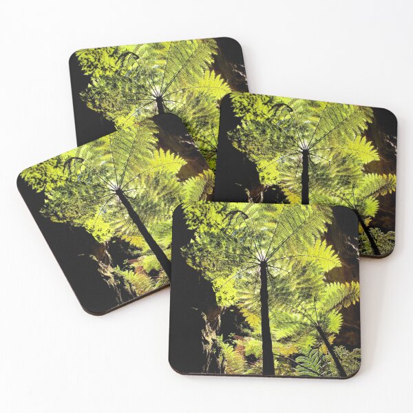 Item preview, Tree Fern designed and sold by Kana Photography.